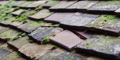 Talog roof repair costs
